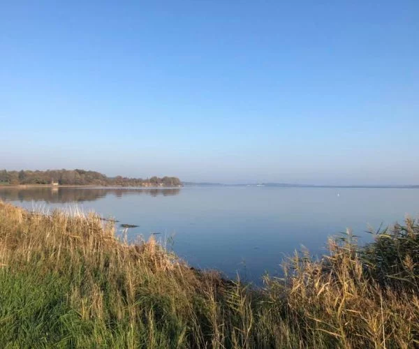 Udsigt over Horsens Fjord ved Søvind